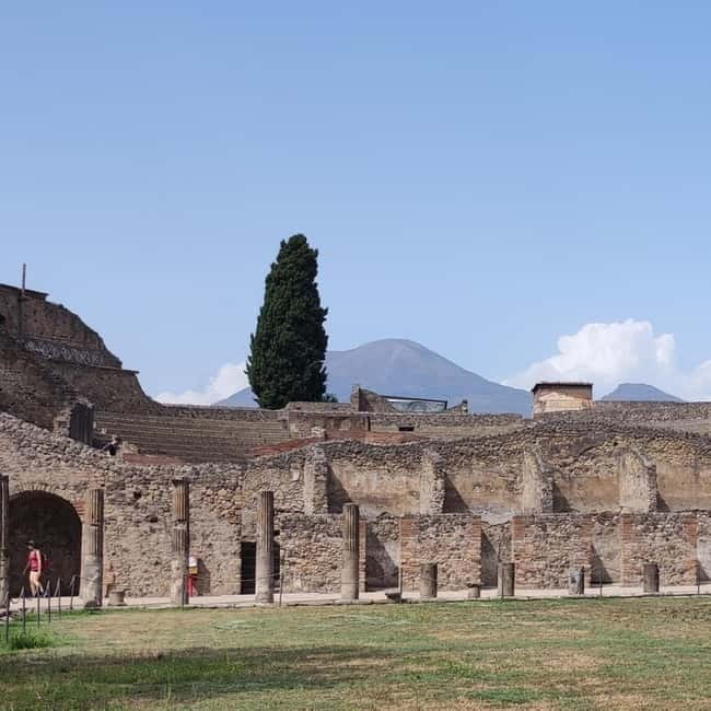 From Naples: Skip-the-Line Entrance Ticket and Guided Pompeii Tour - Authentic Insights from a Local Guide