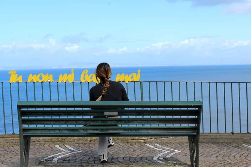 From Naples: Small-Group Tour to Sorrento, Positano & Amalfi - Who Will Love This Tour?