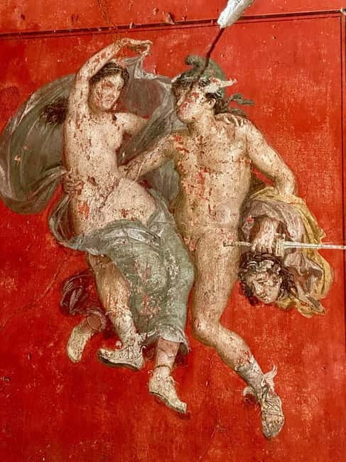 From Napoli: Driver and Skip the Line Guided Tour of Pompeii - Who Will Love This Tour?