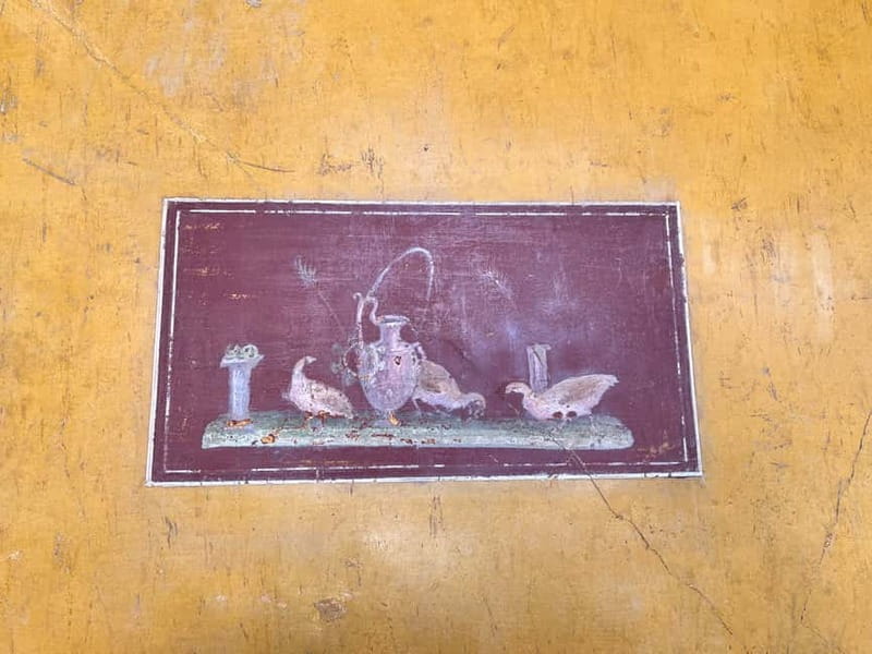 From Napoli: Driver and Skip the Line Guided Tour of Pompeii - FAQs