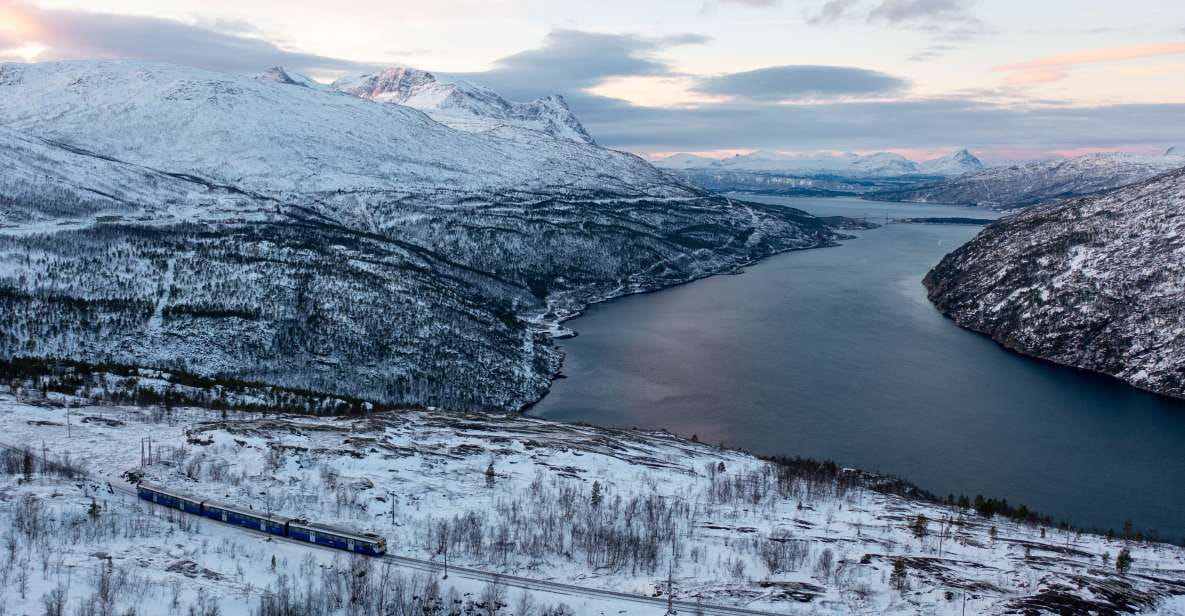 From Narvik: Round-Trip Arctic Train Ride on Ofoten Railway - Booking and Availability