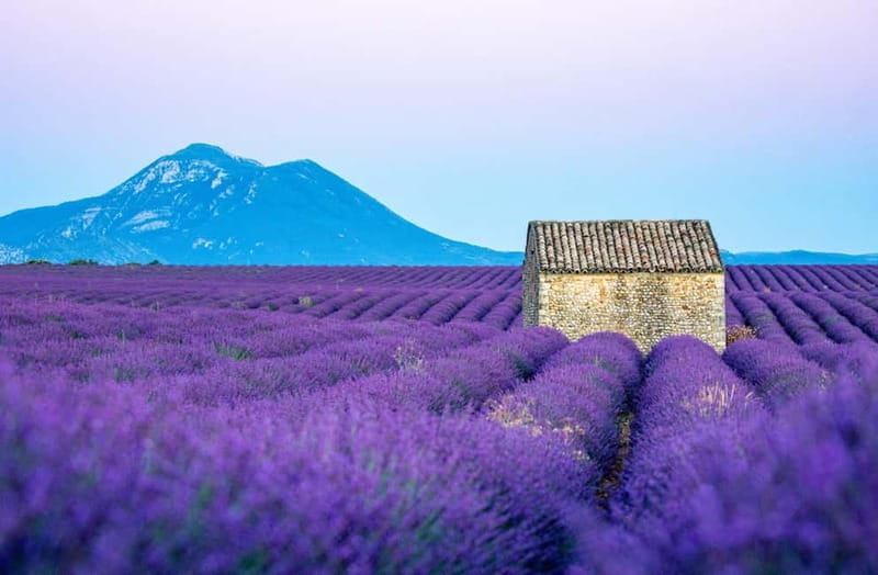 From Nice: Verdon Gorges & Lavender Fields Tour & Transport - Transportation, Timing, and Value