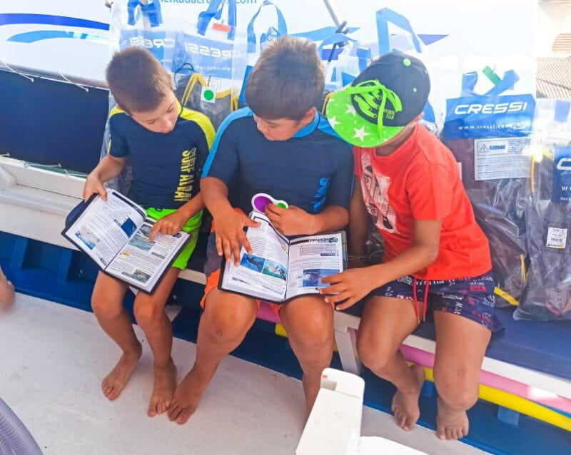 From Nidri: Marine Wildlife Cruise with Lunch and Swim Stops - Who Will Love This Tour?