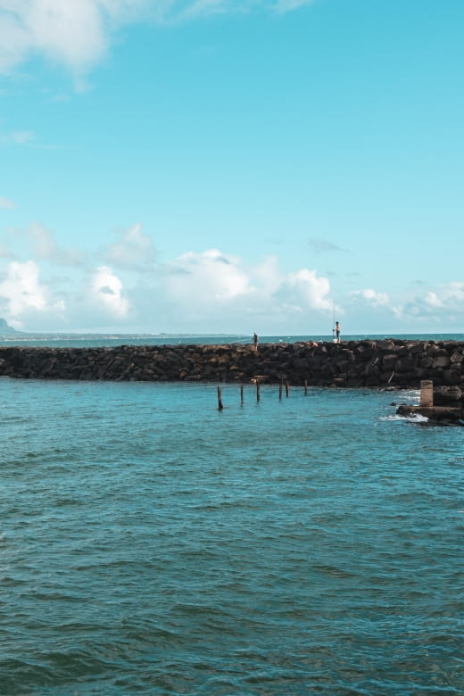 From Oahu: Kauai Movie Adventure Tour - Raiders of the Lost Ark Scenes