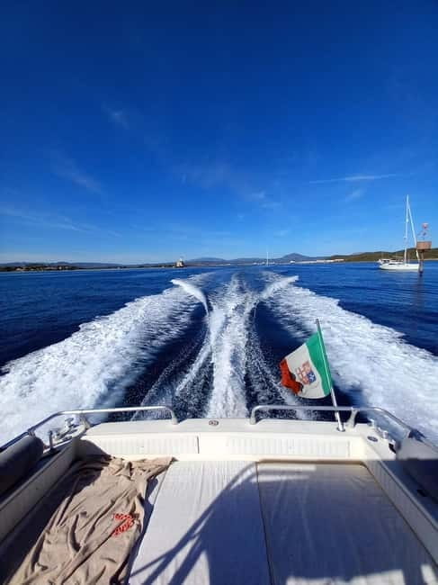 From Olbia: Tavolara and Molara Archipelago day trip by boat - Price and Value Analysis