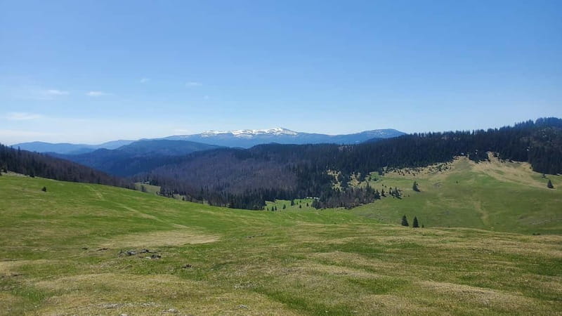 From Oradea: Apuseni Mountains Guided Hiking Tour - Discovering Romania’s Hidden Gem: The Apuseni Mountains