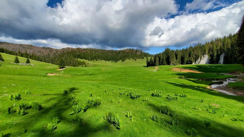 From Oradea: Apuseni Mountains Guided Hiking Tour - Practical Tips for a Smooth Experience