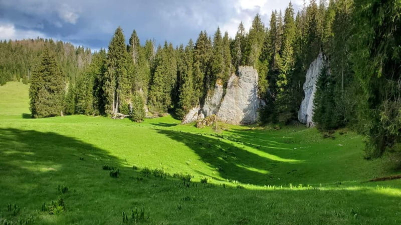 From Oradea: Apuseni Mountains Guided Hiking Tour - FAQ – Your Questions Answered