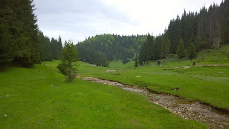 From Oradea: Apuseni Mountains Guided Hiking Tour - Final Thoughts
