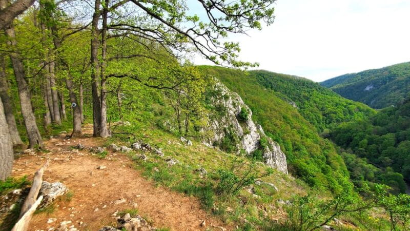 From Oradea: Gorges of Crisul Repede River - Exploring the Gorges of Crisul Repede River: An Authentic Romanian Nature Trip