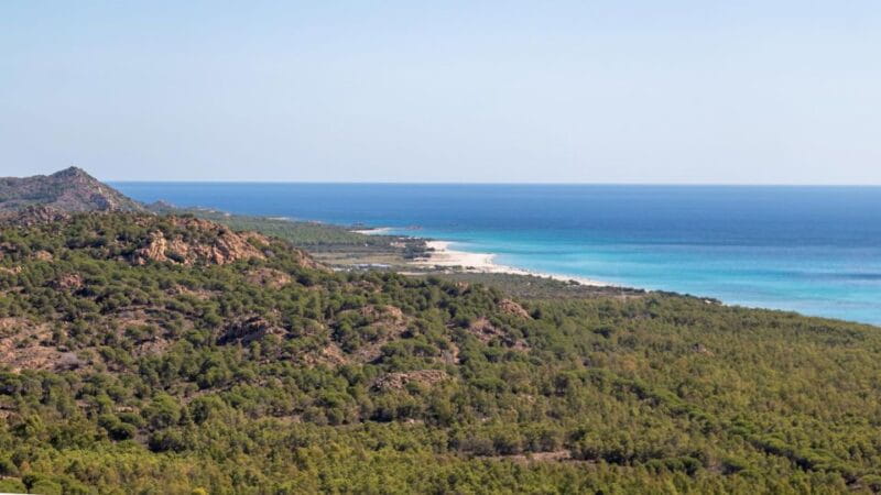 From Orosei: 4x4 private tour to Biderosa and Capo Comino - FAQ: Practical Questions Answered