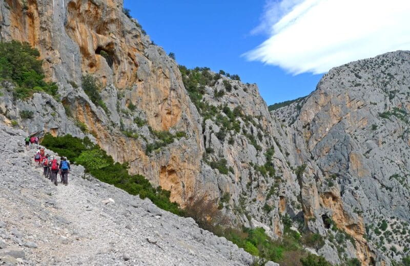 From Orosei or Dorgali: Trek to Gorropu with Panoramic Views - Frequently Asked Questions