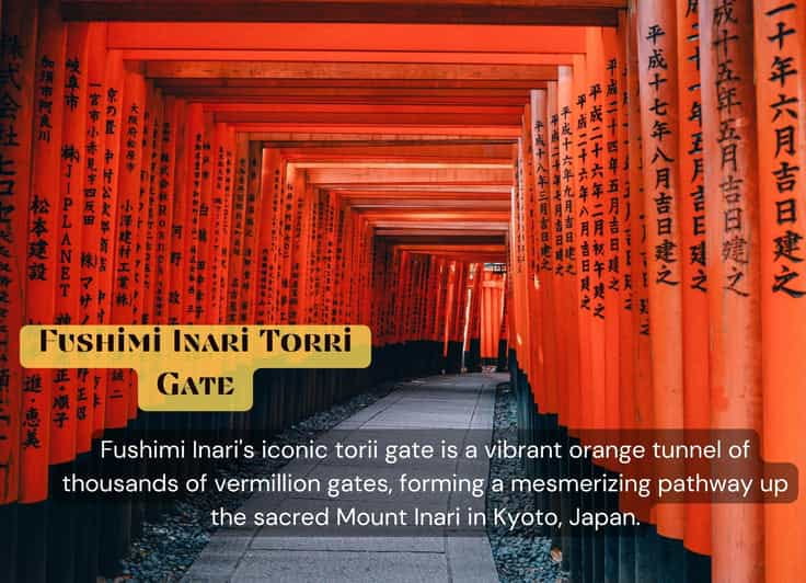 From Osaka/Kyoto: Kyoto & Nara Private Sightseeing Day Trip - Customer Experience