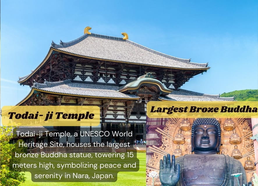 From Osaka/Kyoto: Kyoto & Nara Private Sightseeing Day Trip - Important Information