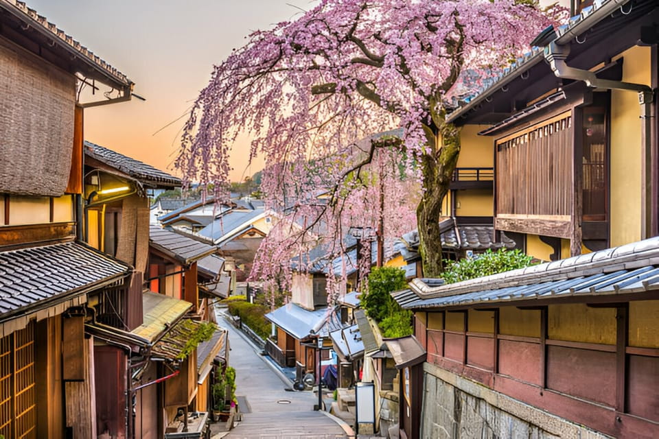 From Osaka or Kyoto: Kyoto and Nara Private Day Trip - Customizable Itinerary