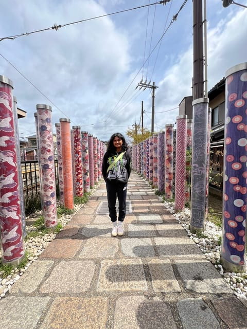 From Osaka:Private Custom Tour to Kyoto - Language and Accessibility