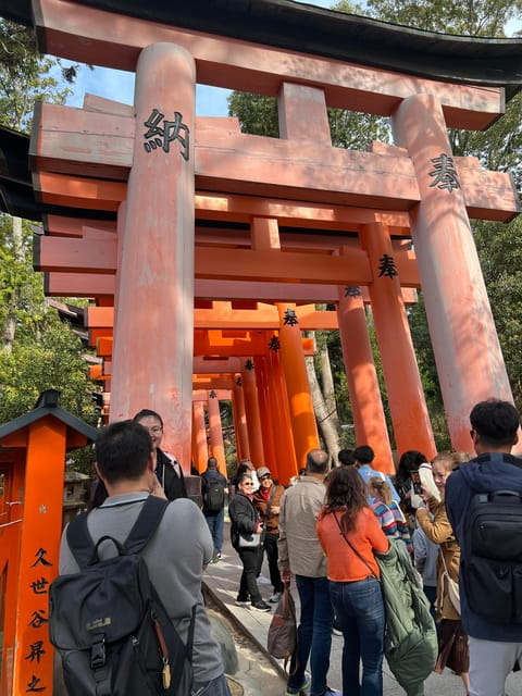 From Osaka:Private Custom Tour to Kyoto - Optional Immersive Activities