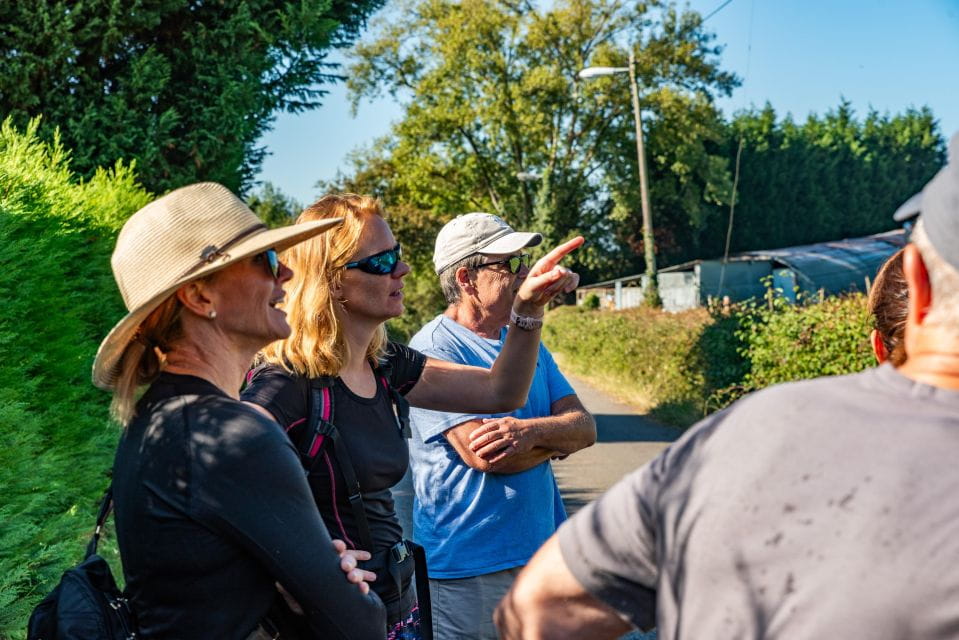 From Oviedo: Half-Day Camino De Santiago Hike - Inclusions and Recommendations