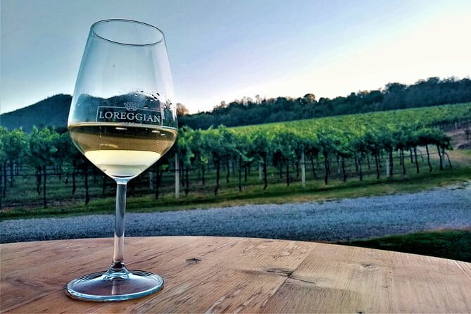 From Padua, Wine Tour in the Euganean Hills - Final Thoughts