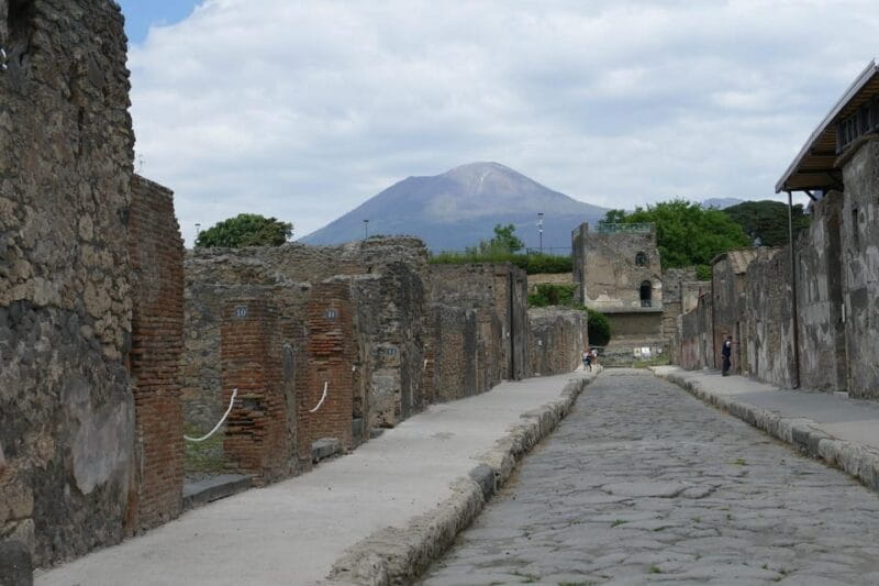 From Paestum:Pompeii guided Tour with Wine Tasting and lunch - From Ruins to Vines: The Vineyard Experience