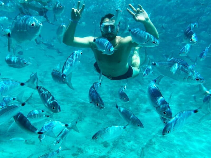 From Palau: La Maddalena Archipelago Catamaran Tour w/ Lunch - The Itinerary: Islands, Coves, and Crystal Waters