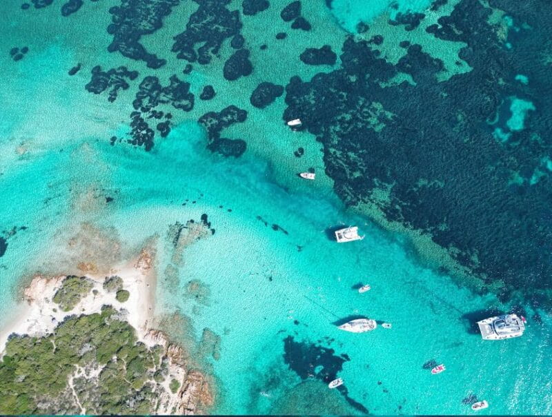 From Palau: La Maddalena Archipelago Catamaran Tour w/ Lunch - Comfort, Value, and Practical Tips