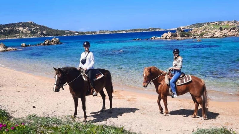 From Palau: minibus tour and horseback ride in La Maddalena - Key points / Takeaways