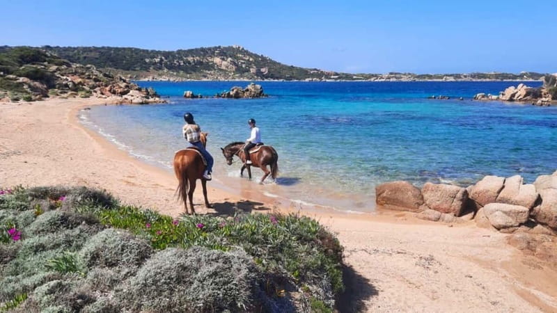 From Palau: minibus tour and horseback ride in La Maddalena - Exploring La Maddalena: A Practical Guide to the Adventure
