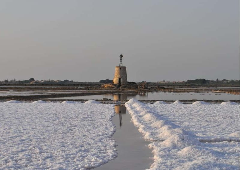 From Palermo: Erice & Marsala Salt, Olive Oil, and Wine Tour - Scenic Drive Along the Salt Way Road — A Glimpse into Ancient Industry