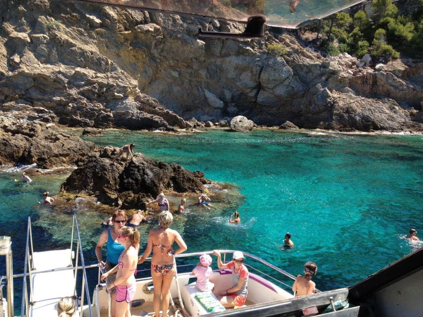 From Palma: 3-Hour Morning Dolphin Watching Boat Tour - Inclusions and Amenities