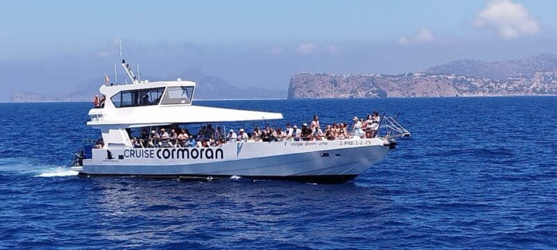 From Palma: Afternoon Dolphin-Watching Boat Tour - Key Points / Takeaways