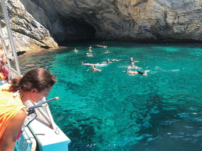 From Palma: Afternoon Dolphin-Watching Boat Tour - A Detailed Look at the Palma Dolphin Cruise Experience