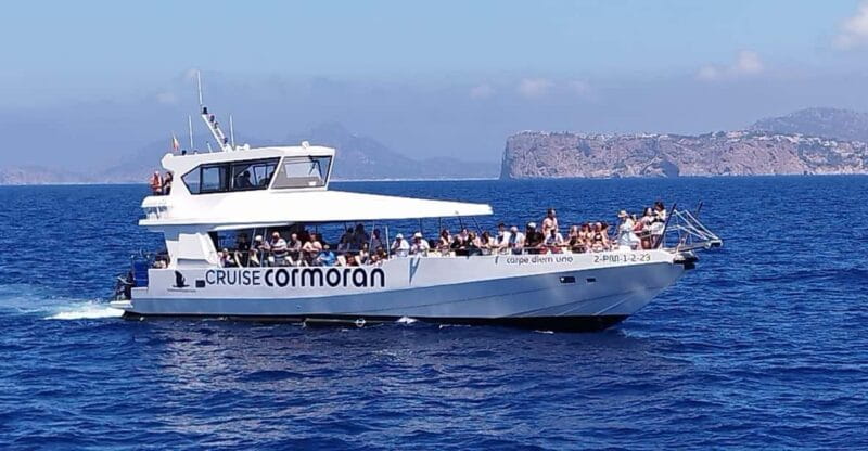 From Palma: Afternoon Dolphin-Watching Boat Tour - Why the Experience Might Be a Good Fit