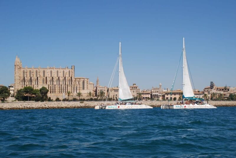 From Palma de Mallorca: Boat Cruise to Illetes - Who Will Love This?