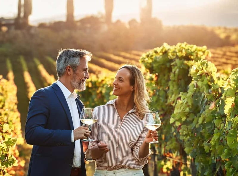 From Palma de Mallorca: Private Wine and Local Flavors Tour - Key points / Takeaways