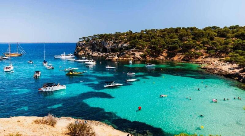 From Palma: Portal Vells Beach and Cave SUP & Snorkel Tour - Key Points / Takeaways