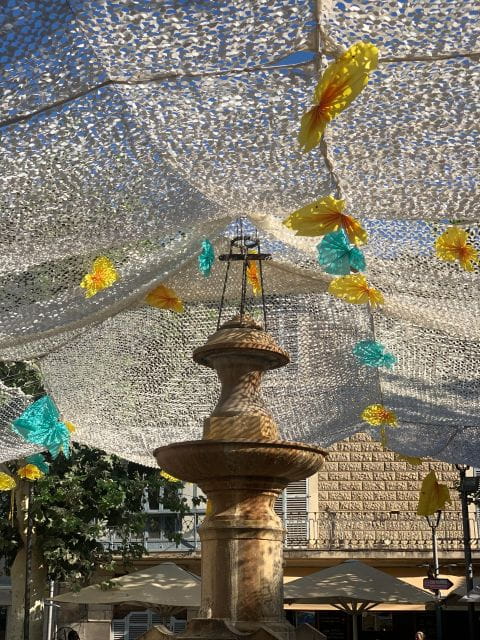 From Palma: Soller valley walk and picnic in orange farm - Practical Tips