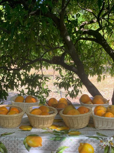 From Palma: Soller valley walk and picnic in orange farm - FAQ