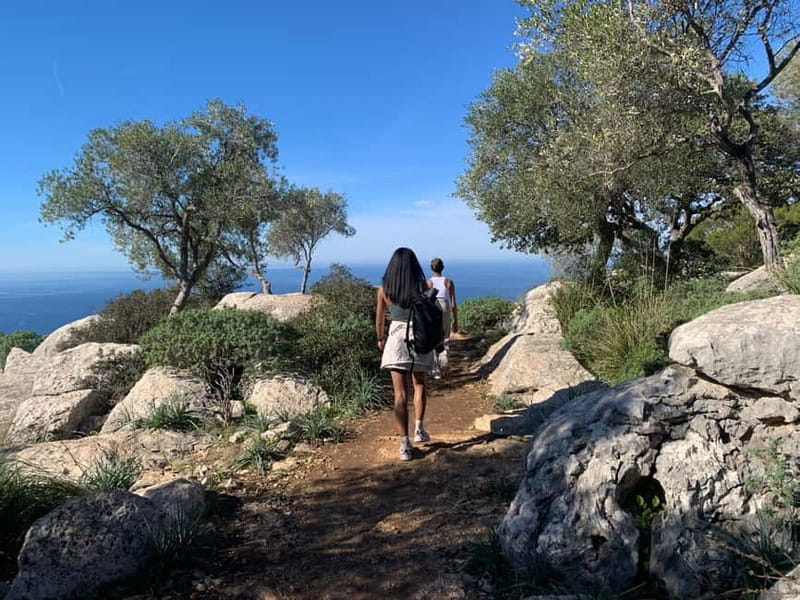 From Palma: Valldemossa Tour and Mountain Viewpoint Hike - Final Thoughts: Is This Tour Right for You?