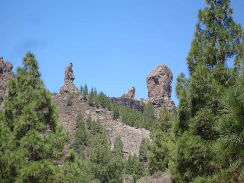 From Palmas: Pico de las Nieves & Roque Nublo Full-Day Trip - Exploring Gran Canaria’s Mountain Majesty