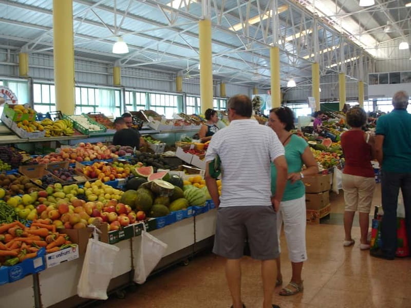 From Palmas: Pico de las Nieves & Roque Nublo Full-Day Trip - Practical Details and Who This Tour Is For