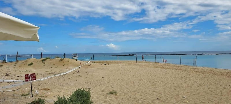 From Paphos: Famagusta, Salamis, and Varosha Walking Tour - Exploring Cyprus’s Hidden Past: Salamis, Famagusta, and Varosha from Paphos