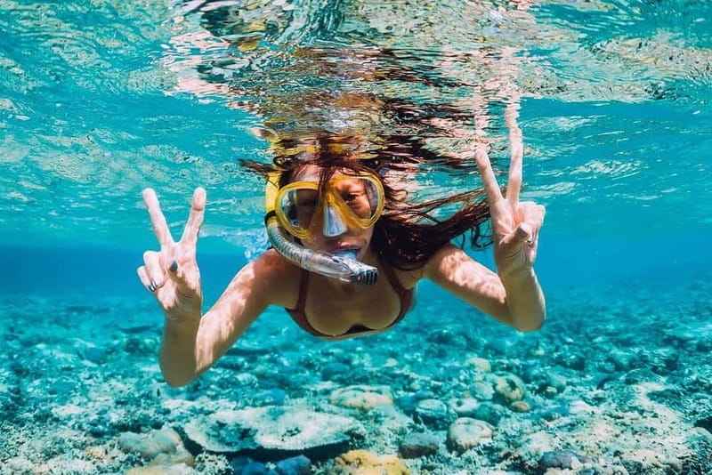 FROM PAPHOS: Snorkeling at the Marine Park (shore) - The Value of a Shore Snorkeling Tour