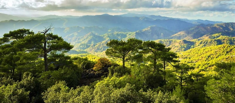 From Paphos: Troodos Kykkos Jeep Safari - FAQs
