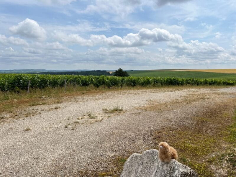 From Paris: Burgundy Chablis Wine & Cheese Tasting Day Trip - Key Points / Takeaways