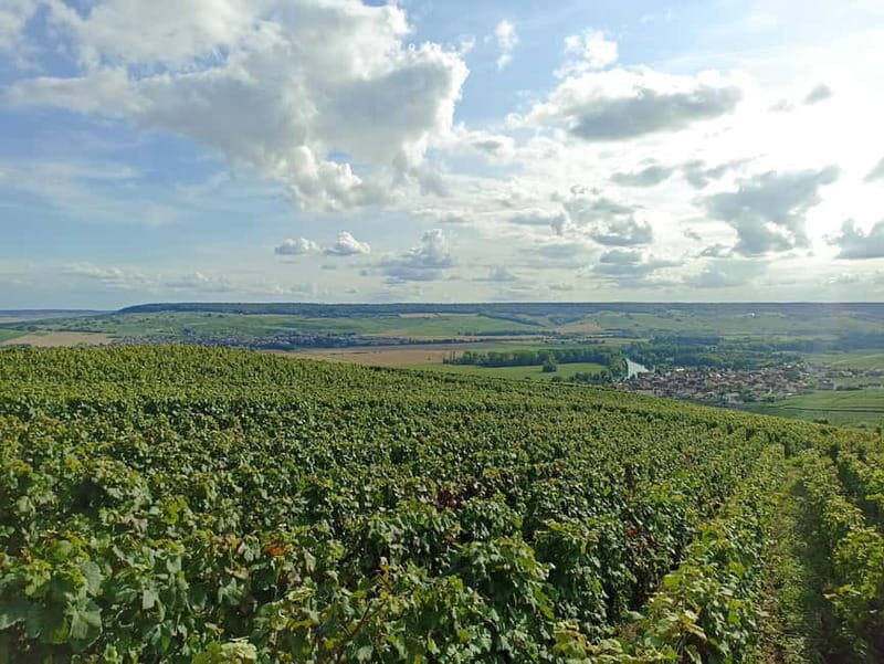 From Paris: Reims Cathedral, Champagne Cellar, and Tasting - Exploring Reims Cathedral