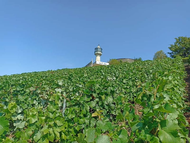 From Paris: Reims Cathedral, Champagne Cellar, and Tasting - Charming Hautvillers Village