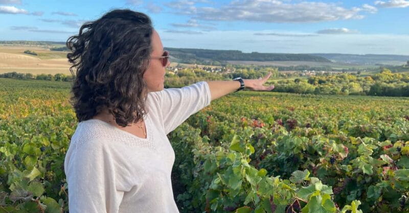 From Paris: Wine Day trip to SANCERRE w 10 Tastings & Lunch - Key Points / Takeaways