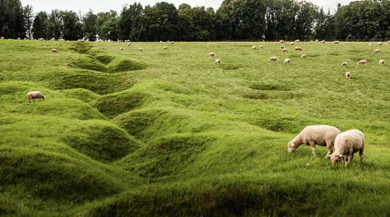 From Paris : WWI Somme Battlefields with Licensed Guide - Frequently Asked Questions