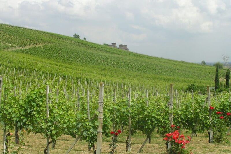 From Parma: Parmesan, Parma Ham & Balsamic Vinegar Tour - Final Thoughts: A Must for Food Enthusiasts